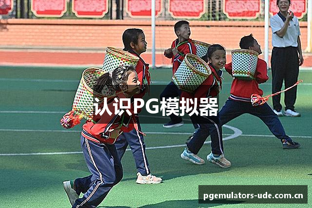 认识PG模拟器